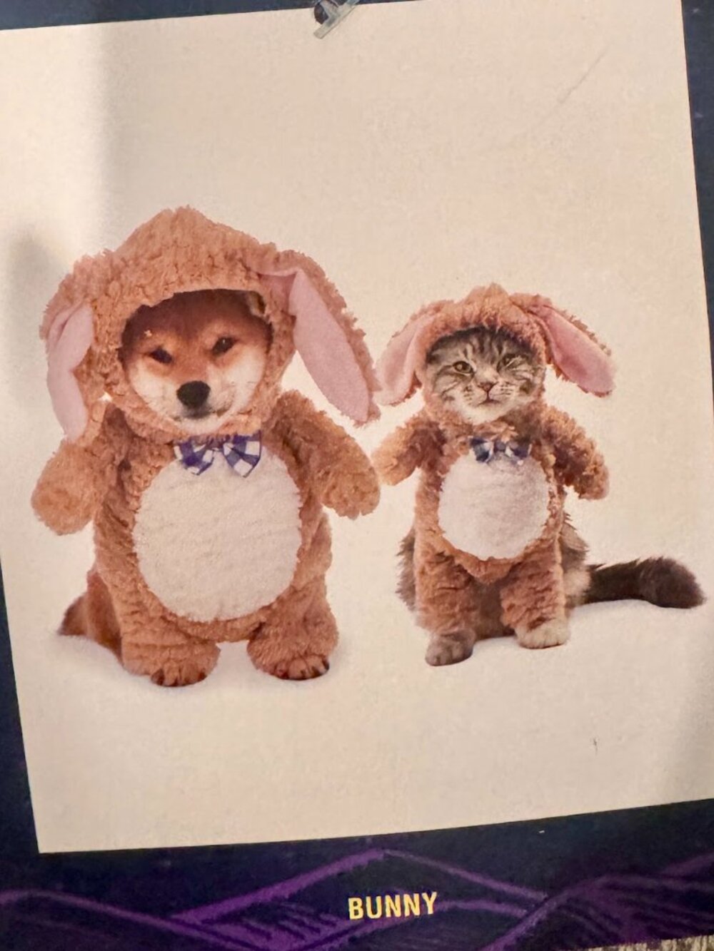 Moonlight Manor Bunny Teddy Bear Walking Front Suit Dog Costume Brown Size Small